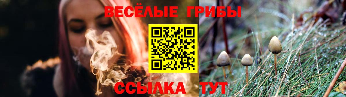 Тверь  Галлюциногенные грибы Psilocybine cubensis  Вход с VPN 
